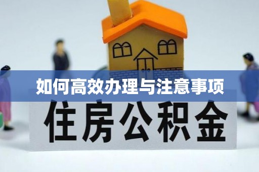 翠屏如何高效办理与注意事项