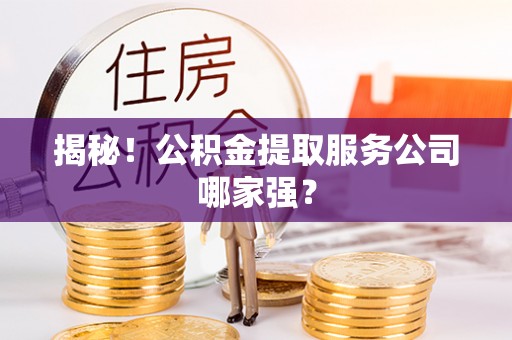 翠屏揭秘！公积金提取服务公司哪家强？