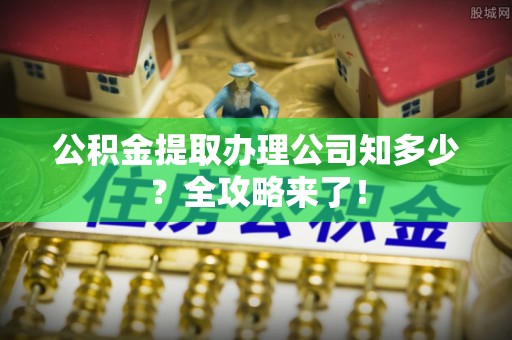 翠屏公积金提取办理公司知多少？全攻略来了！