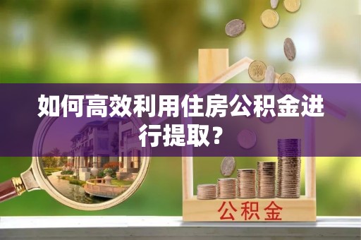 翠屏如何高效利用住房公积金进行提取？