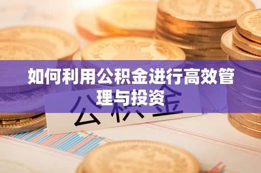 翠屏如何利用公积金进行高效管理与投资