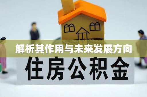 翠屏解析其作用与未来发展方向
