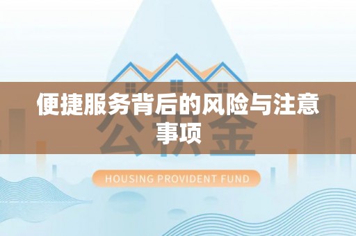 翠屏便捷服务背后的风险与注意事项